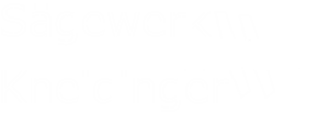 Logo von Sägewerk Kneidinger